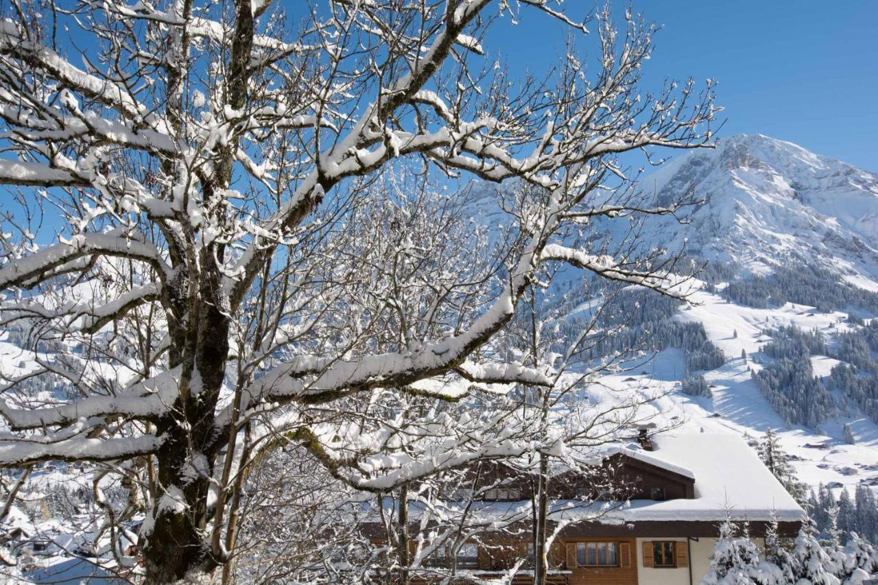 Ferienwohnung Senggi Adelboden Exterior foto